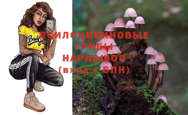 стафф Беломорск