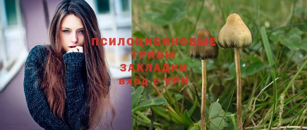 сатива Белоозёрский