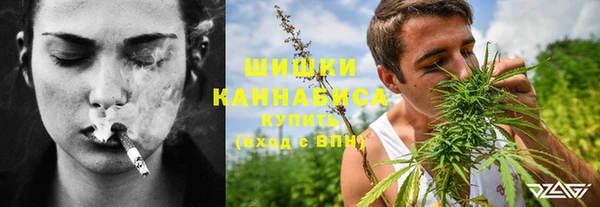 сатива Белоозёрский